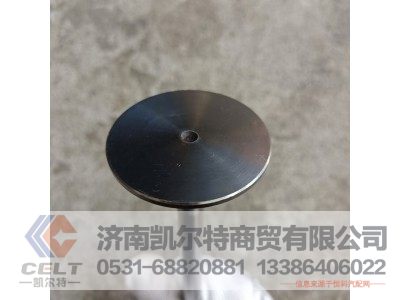 612600050025,排氣門(mén),濟(jì)南凱爾特商貿(mào)有限公司