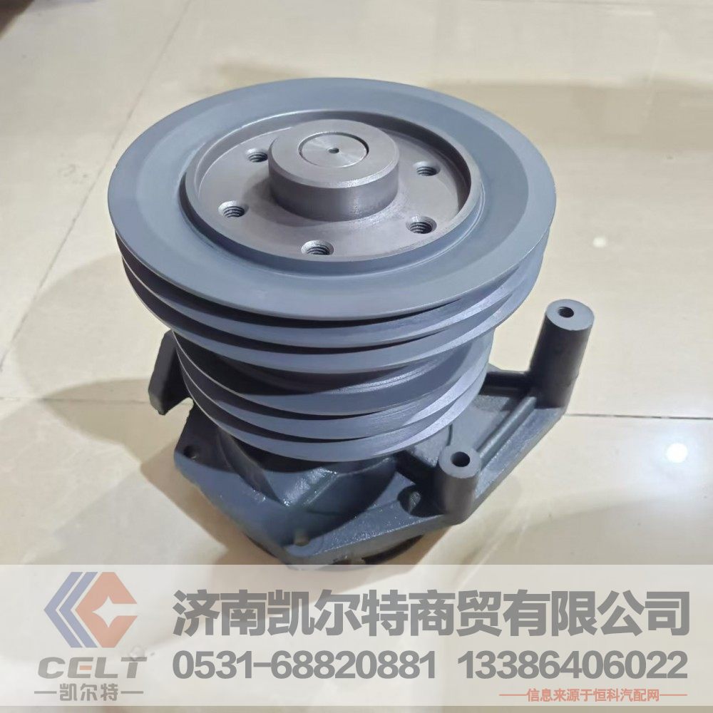 61500060229,水泵總成,濟南凱爾特商貿有限公司