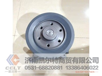 61500060229,水泵總成,濟南凱爾特商貿有限公司