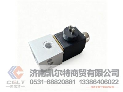 WG9719710004,电磁阀(P99接头),济南凯尔特商贸有限公司