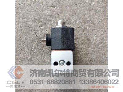 WG9719710004,电磁阀(P99接头),济南凯尔特商贸有限公司