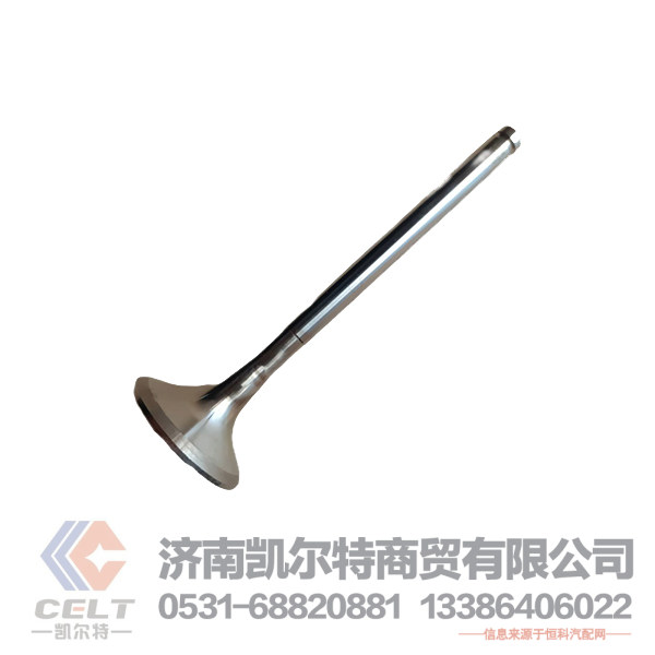 VG1560050041/3,排气门,济南凯尔特商贸有限公司