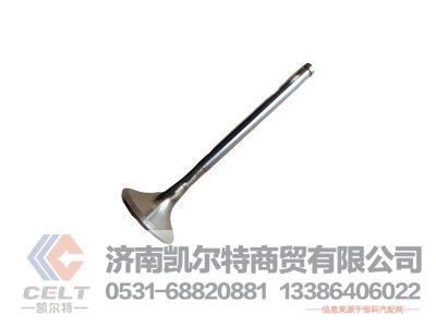 VG1560050041/3,排气门,济南凯尔特商贸有限公司