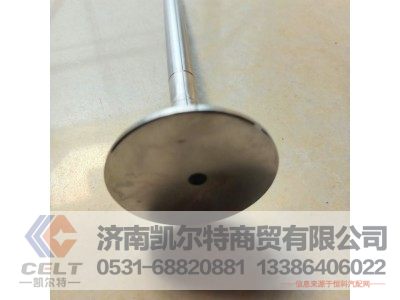 VG1560050041/3,排气门,济南凯尔特商贸有限公司