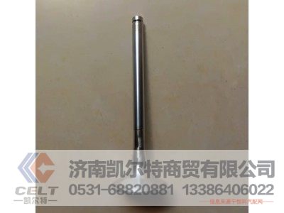 VG1560050041/3,排气门,济南凯尔特商贸有限公司