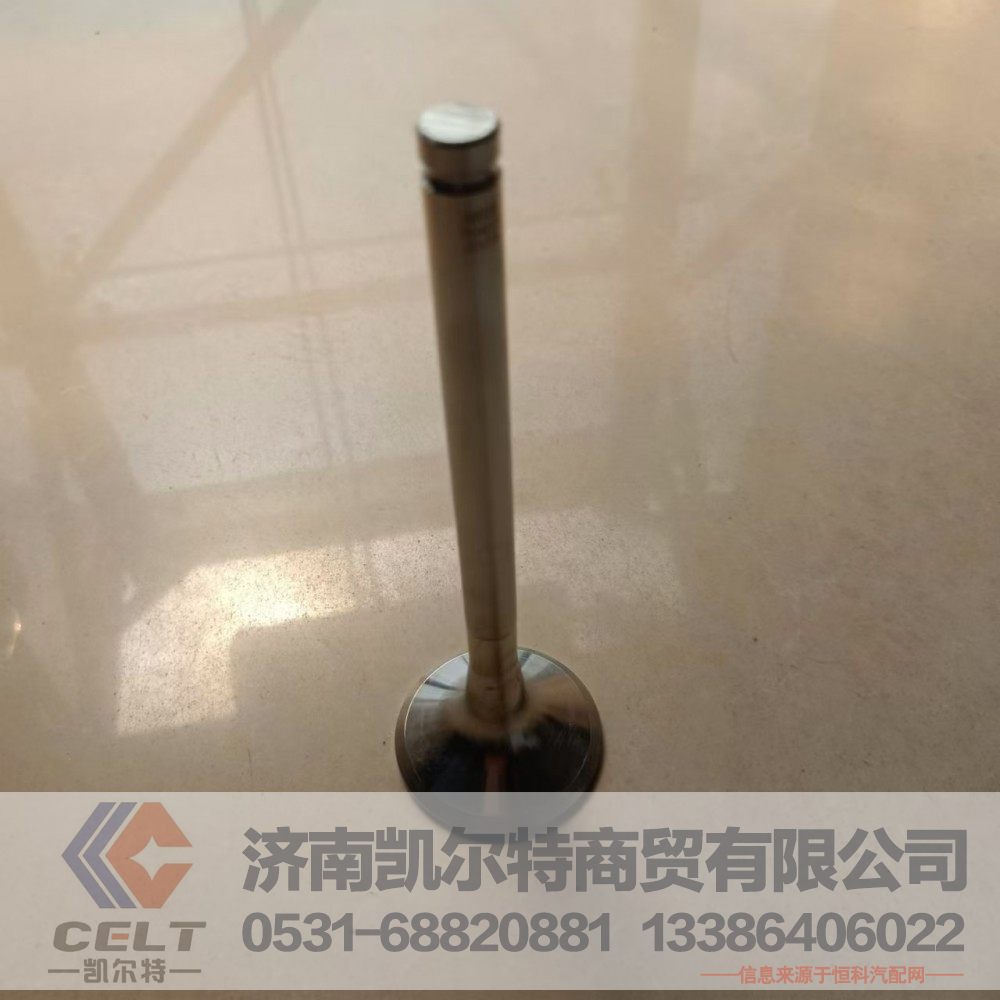 VG1560050041/3,排气门,济南凯尔特商贸有限公司