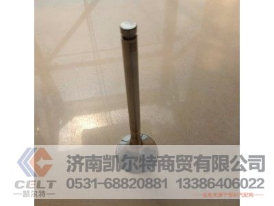 VG1560050041/3,排气门,济南凯尔特商贸有限公司