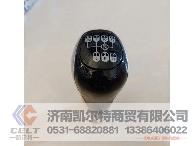 WG9700240022,变速器换挡手柄及挡位标牌总成(12挡),济南凯尔特商贸有限公司