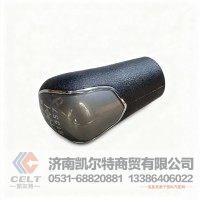 重汽豪沃T7H豪瀚配件 变速器换挡手柄及挡位标牌总成WG9900240238