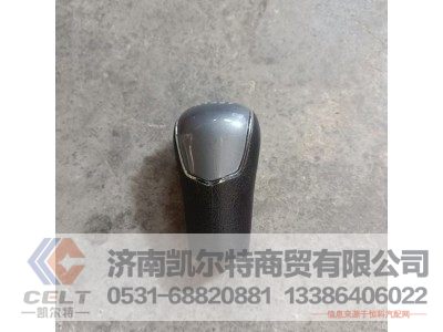 WG9900240238,變速器換擋手柄及擋位標(biāo)牌總成(9擋/C7H),濟(jì)南凱爾特商貿(mào)有限公司