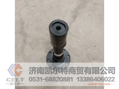 W2502161F01C,贯通轴,济南凯尔特商贸有限公司
