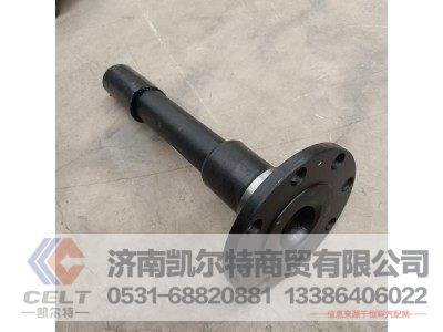 W2502161F01C,贯通轴,济南凯尔特商贸有限公司