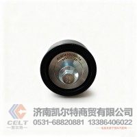 华菱汉马平惰轮618DA1025003A 电控发动机惰轮 张紧轮导带轮 涨紧轮