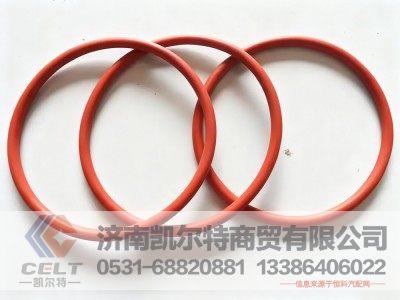 VG1246060025,O型密封圈,济南凯尔特商贸有限公司