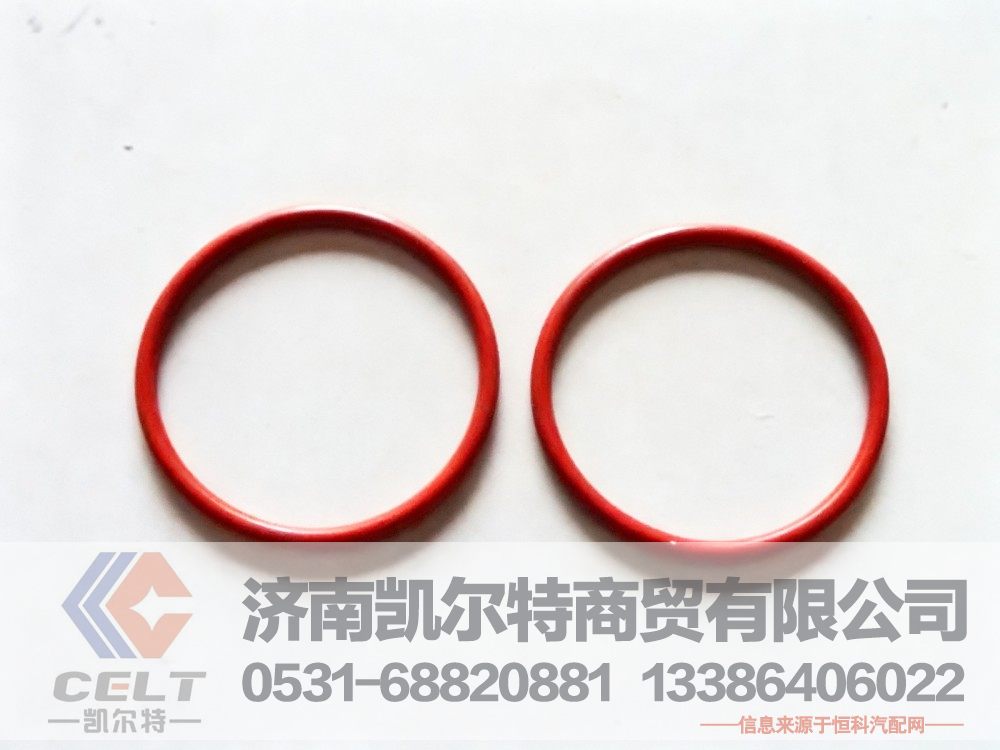 VG1246060025,O型密封圈,济南凯尔特商贸有限公司