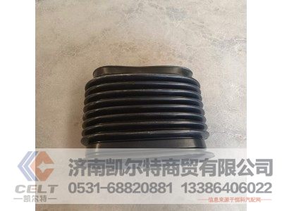 WG9725190008,波纹接口组件(HOWO双筒式旋风管),济南凯尔特商贸有限公司