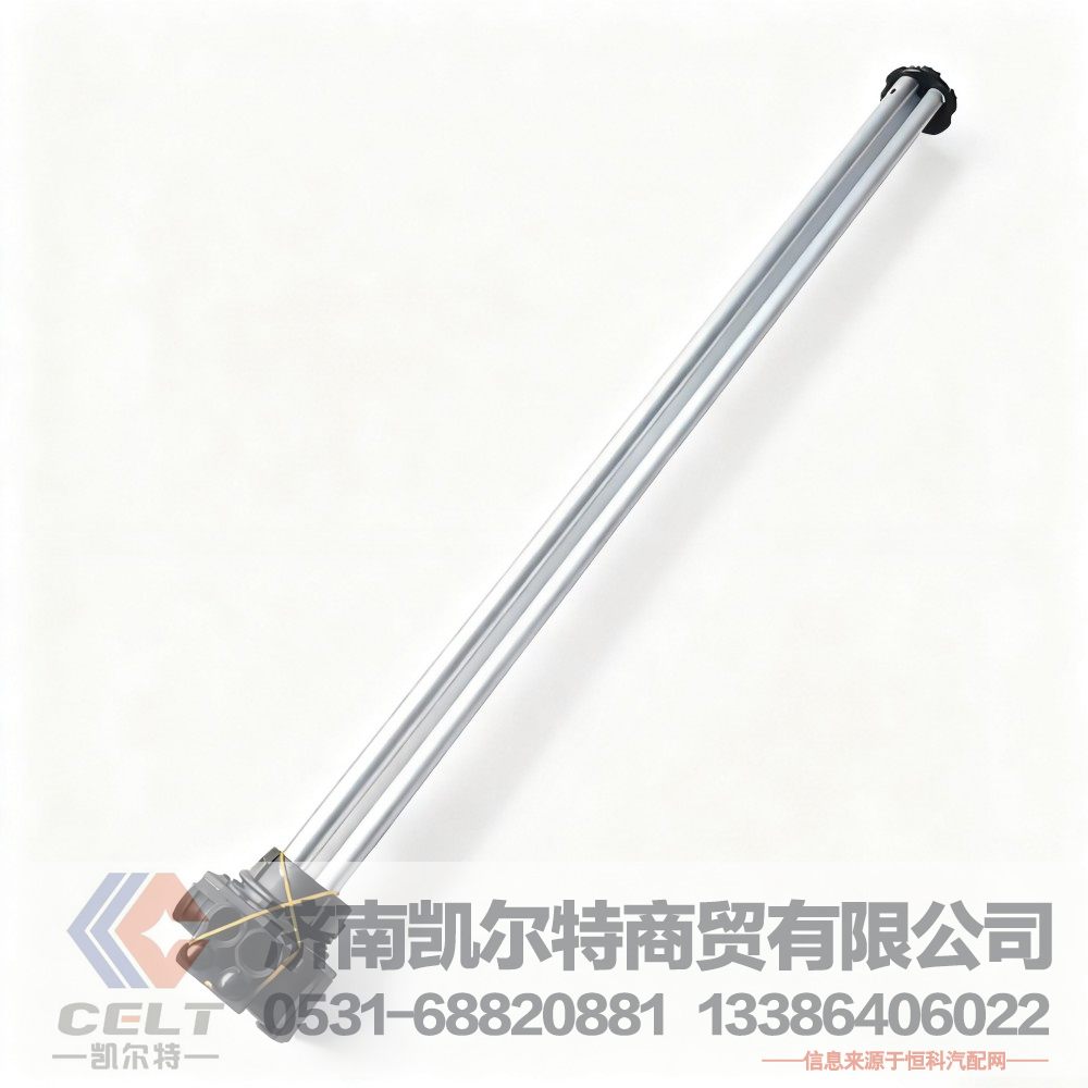 D824A/B,油位传感器,济南凯尔特商贸有限公司