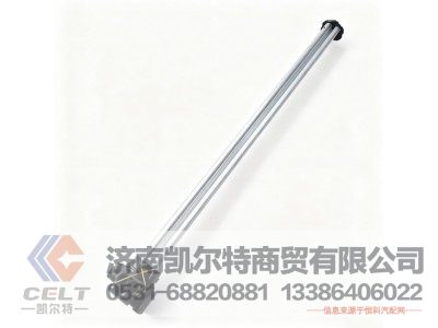 D824A/B,油位传感器,济南凯尔特商贸有限公司