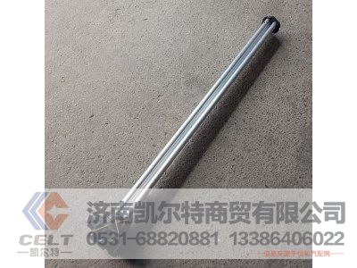 D824A/B,油位传感器,济南凯尔特商贸有限公司