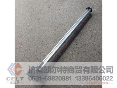 D824A/B,油位传感器,济南凯尔特商贸有限公司