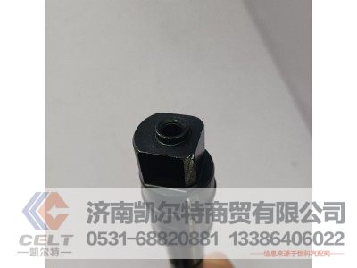 1015572667,喷油器,济南凯尔特商贸有限公司