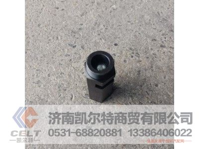 VG1500070097,主油道限压阀总成,济南凯尔特商贸有限公司