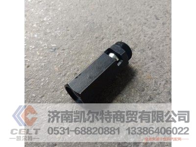 VG1500070097,主油道限压阀总成,济南凯尔特商贸有限公司