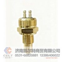 倒挡压力开关WG2209280003 供应重汽豪沃汕德卡斯太尔卡车配件