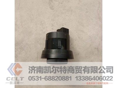 DZ97189584680,旋钮大灯开关,济南凯尔特商贸有限公司