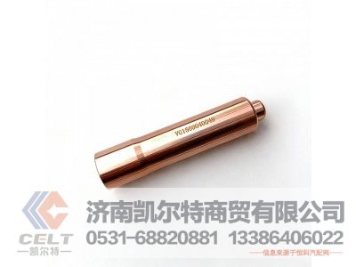VG1560040049,喷油器衬套（杭发专用）,济南凯尔特商贸有限公司