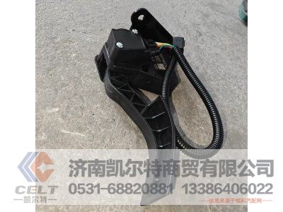 DZZ97189570283,电子油门踏板,济南凯尔特商贸有限公司 DZZ97189570283,电子油门踏板,济南凯尔特商贸有限公司