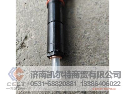 WG1246080036,喷油器总成,济南凯尔特商贸有限公司 WG1246080036,喷油器总成,济南凯尔特商贸有限公司