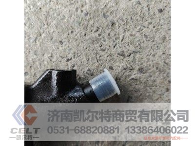 WG1246080036,喷油器总成,济南凯尔特商贸有限公司 WG1246080036,喷油器总成,济南凯尔特商贸有限公司