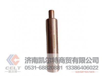 1560040099,喷油器衬套,济南凯尔特商贸有限公司