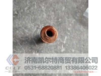 1560040099,喷油器衬套,济南凯尔特商贸有限公司