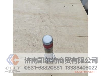 WG9925591965,支撑螺丝,济南凯尔特商贸有限公司 WG9925591965,支撑螺丝,济南凯尔特商贸有限公司