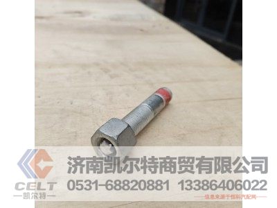 WG9925591965,支撑螺丝,济南凯尔特商贸有限公司 WG9925591965,支撑螺丝,济南凯尔特商贸有限公司