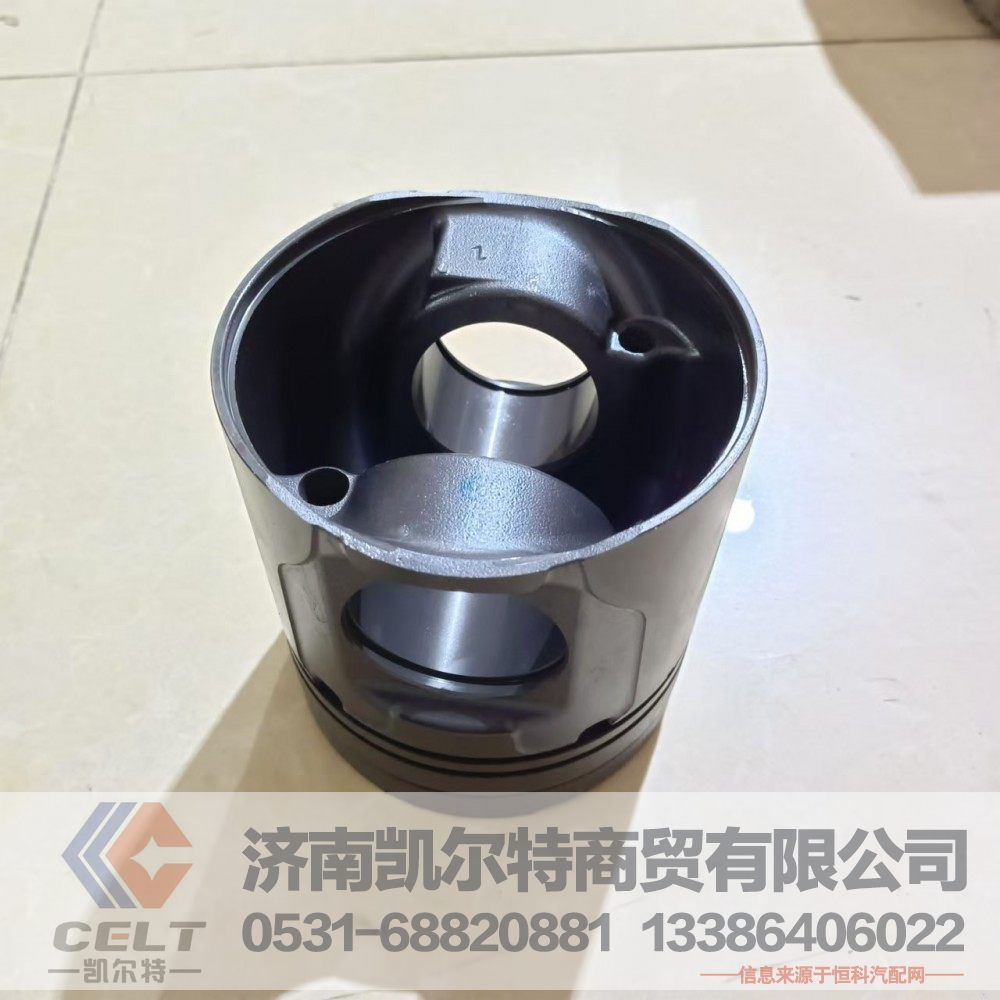 WPB1000076563,活塞,济南凯尔特商贸有限公司