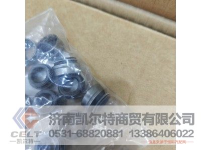 WG1560040032,气门杆密封套,济南凯尔特商贸有限公司