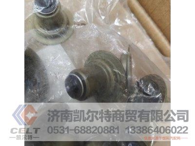 612630040167,密封套,济南凯尔特商贸有限公司