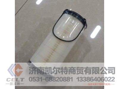 WG9925550966,燃油粗滤器滤芯,济南凯尔特商贸有限公司