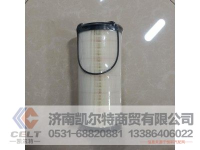 WG9925550966,燃油粗滤器滤芯,济南凯尔特商贸有限公司