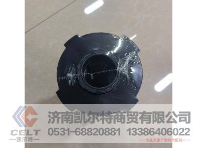 WG9925550966,燃油粗滤器滤芯,济南凯尔特商贸有限公司