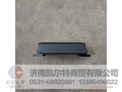 WG1664331064,右门控开关控制器（豪华）,济南凯尔特商贸有限公司