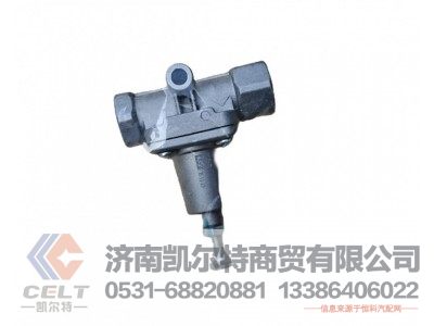 WG9000360519,溢流阀0.6MPA无回流,济南凯尔特商贸有限公司