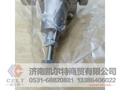 WG9000360519,溢流阀0.6MPA无回流,济南凯尔特商贸有限公司