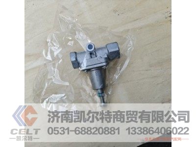 WG9000360519,溢流阀0.6MPA无回流,济南凯尔特商贸有限公司