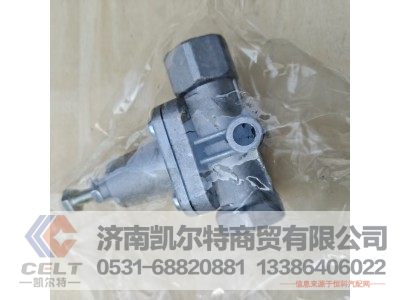 WG9000360519,溢流阀0.6MPA无回流,济南凯尔特商贸有限公司