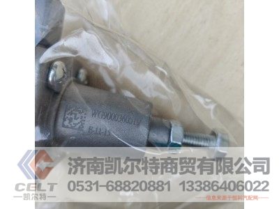 WG9000360519,溢流阀0.6MPA无回流,济南凯尔特商贸有限公司