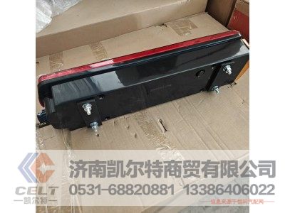 WG9719810012,右组合后灯（四点安装）,济南凯尔特商贸有限公司